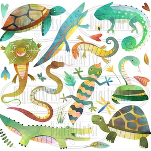 Watercolor Reptiles Clipart Reptile Download Instant Download Chameleon Lizard Skink Snake Alligator Turtle Gecko image 2