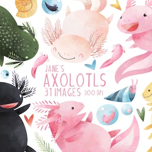 Clipart de axolotl en acuarela - Descarga de salamandras mexicanas - Descarga instantánea - Ciclo de vida del axolotl - Animales salvajes - Anfibios - Rosa