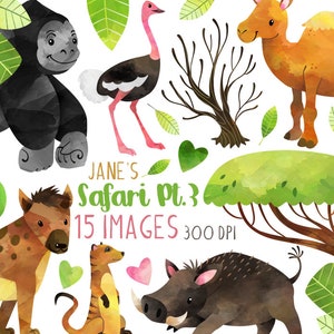Puede incluir: Ilustraciones de acuarela de animales de safari, incluyendo un gorila, avestruz, camello, serpiente, hiena, suricato, jabalí y follaje. El texto "Jane's Safari Pt. 3" y "15 IMAGES 300 DPI" también están incluidos.