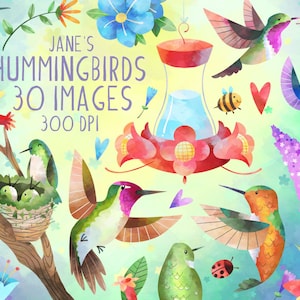 Aquarell Kolibri Clipart - Bestäuber Download - Sofortiger Download - Kolibri Arten - Blumen - Wildtiere - Vögel - Biene