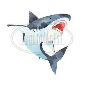Akvarellhajar Clipart: 14 bilder av hajarter (digital nedladdning) bild 3