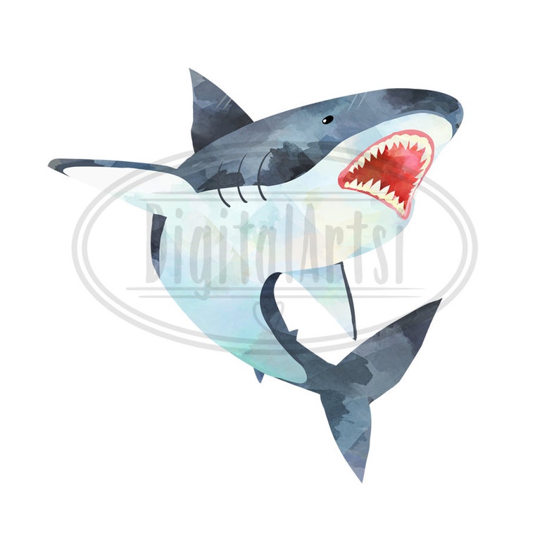 Akvarellhajar Clipart: 14 bilder av hajarter (digital nedladdning) bild 3