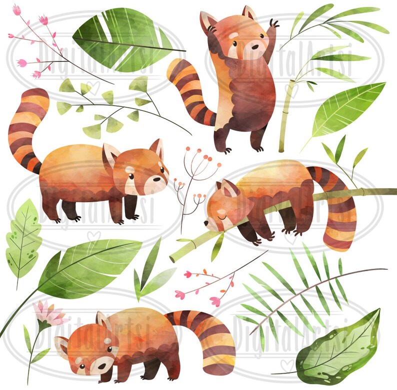 May include: Watercolor illustration of red pandas in a jungle setting. The red pandas are depicted in various poses, including standing, sleeping, and climbing. The jungle setting is lush and green, with leaves, bamboo, and flowers.