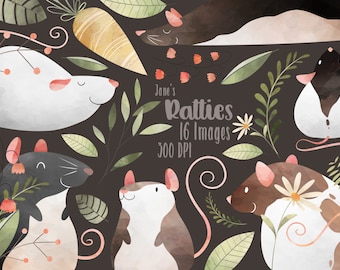 Watercolor Rats Clipart - Cute Ratties Download - Instant Download - Fancy Rats - Hooded Rat - Albino Rat - Commercial Use