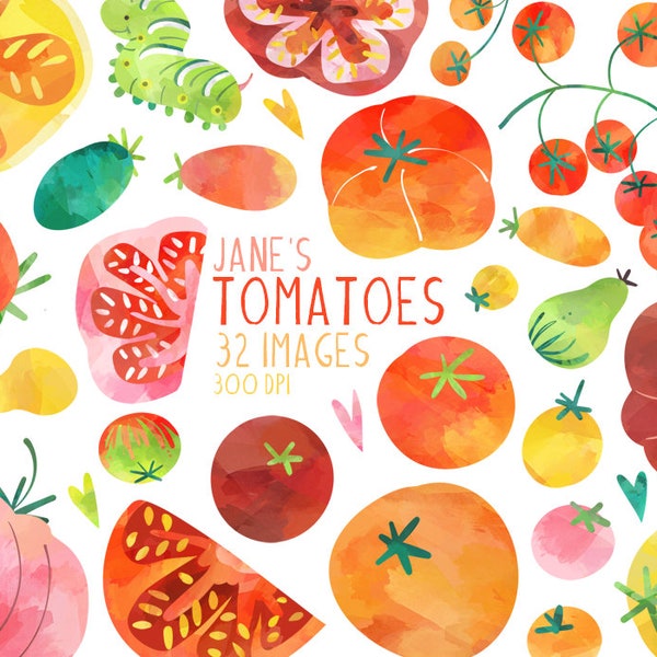 Watercolor Tomatoes Clipart - Tomato Graphics - Digital Download - Healthy Food - Vegetables - Vegetarian - Vegan - Gardening - Farming