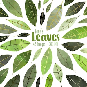 Folhas em aquarela - Download de folhas verdes - Download instantâneo - Variedade de folhas - Folhas verdes - Folhas em aquarela - Desenhado à mão
