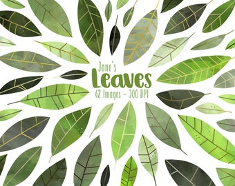 Clipart de hojas de acuarela: variedad de hojas verdes (descarga instantánea)