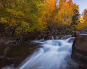 Bishop Creek - Landscape photo of the fall colors and Bishop Creek