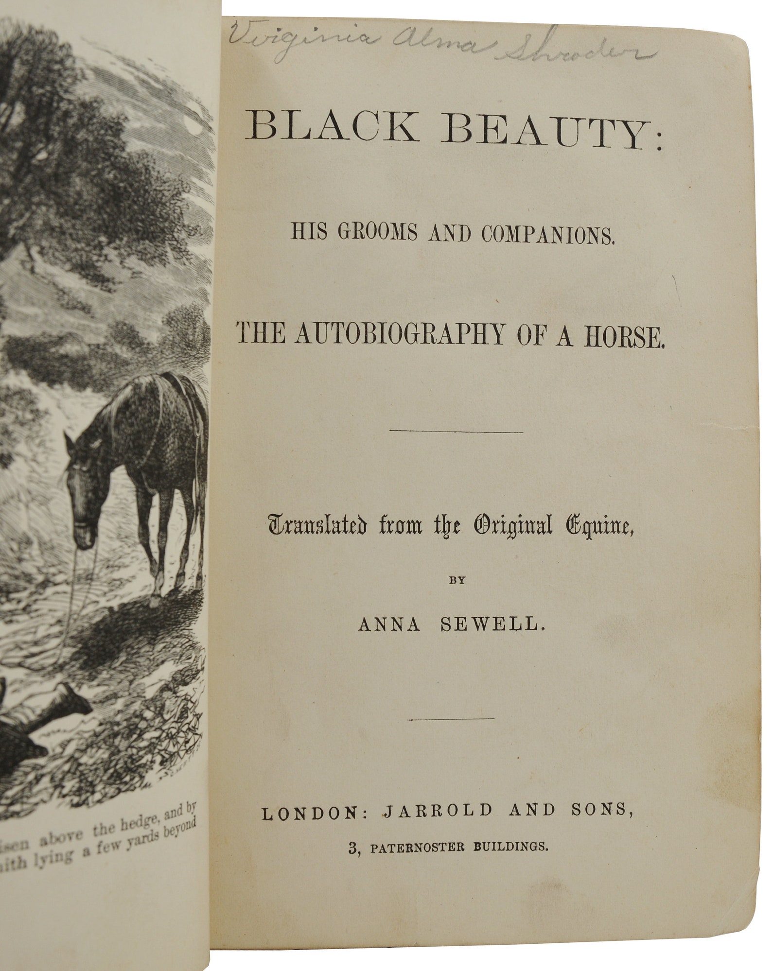 black beauty original book black beauty original book
