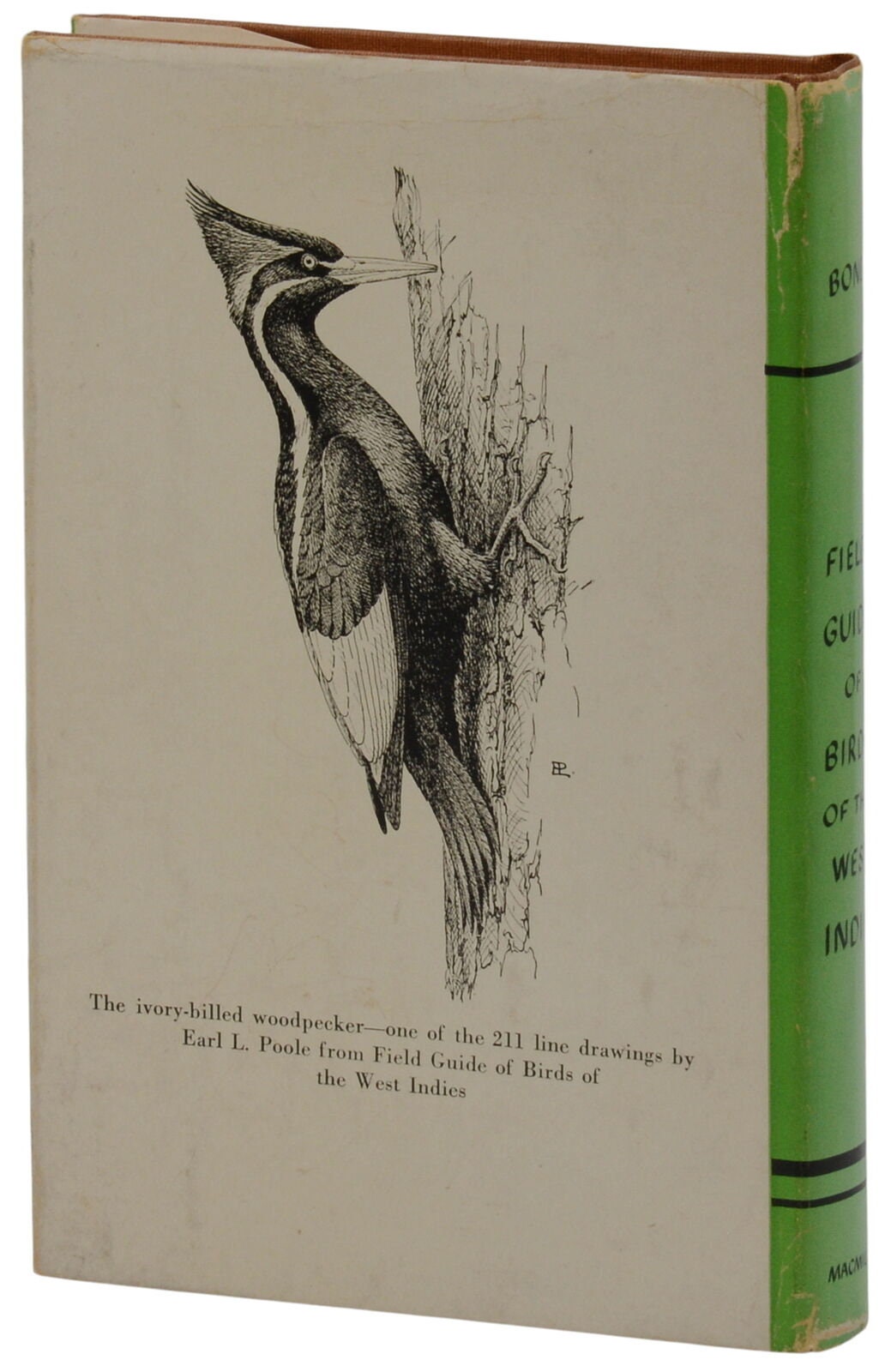 Field Guide to Birds of the West Indies ~ JAMES BOND ~ Second