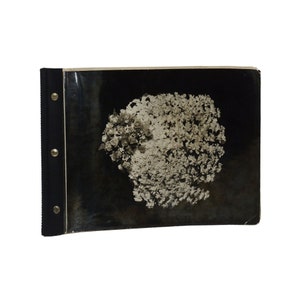 May include: A black and white photograph of a large bouquet of flowers in a vintage photo album.