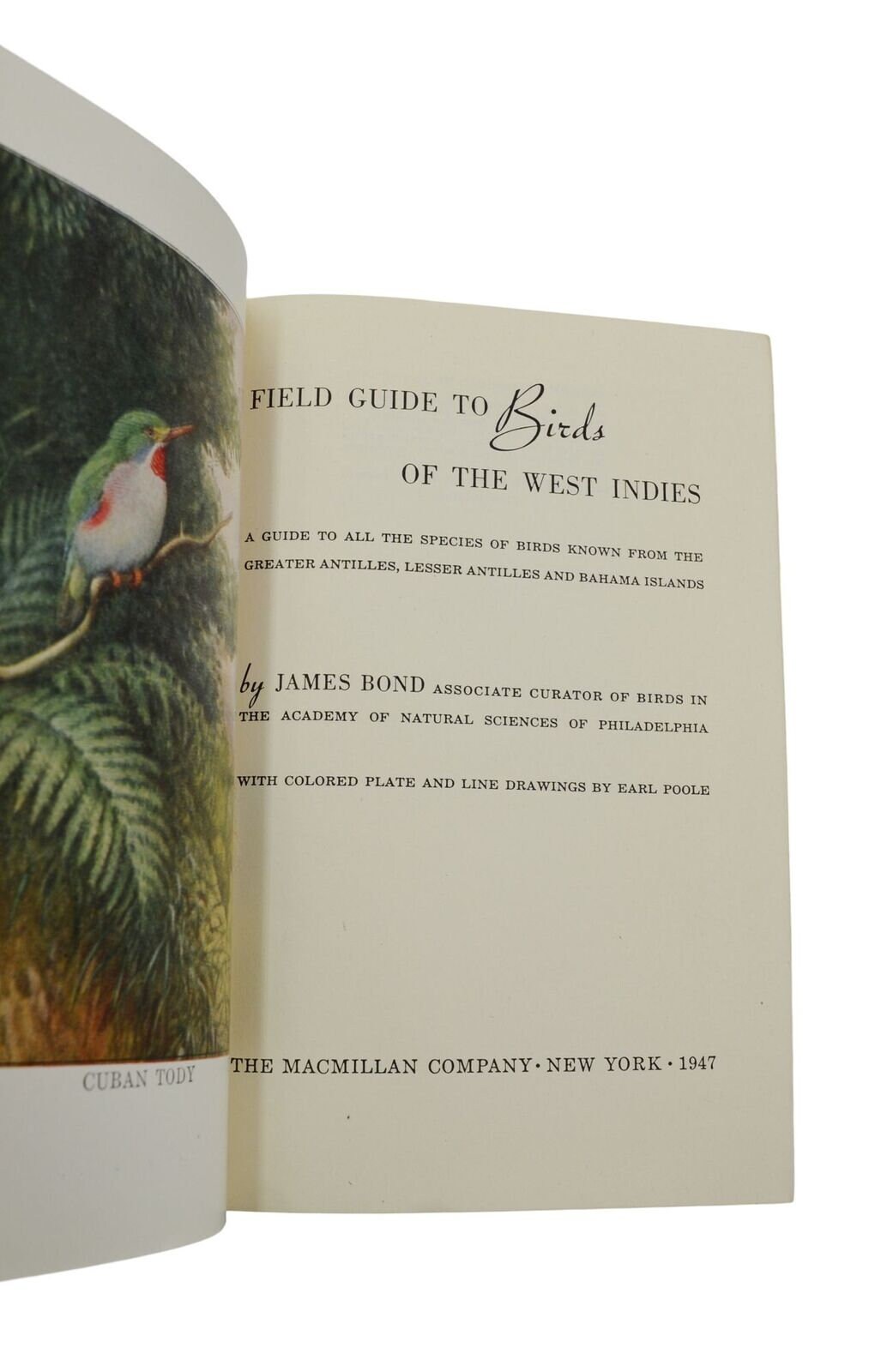 Field Guide to Birds of the West Indies ~ JAMES BOND ~ Second