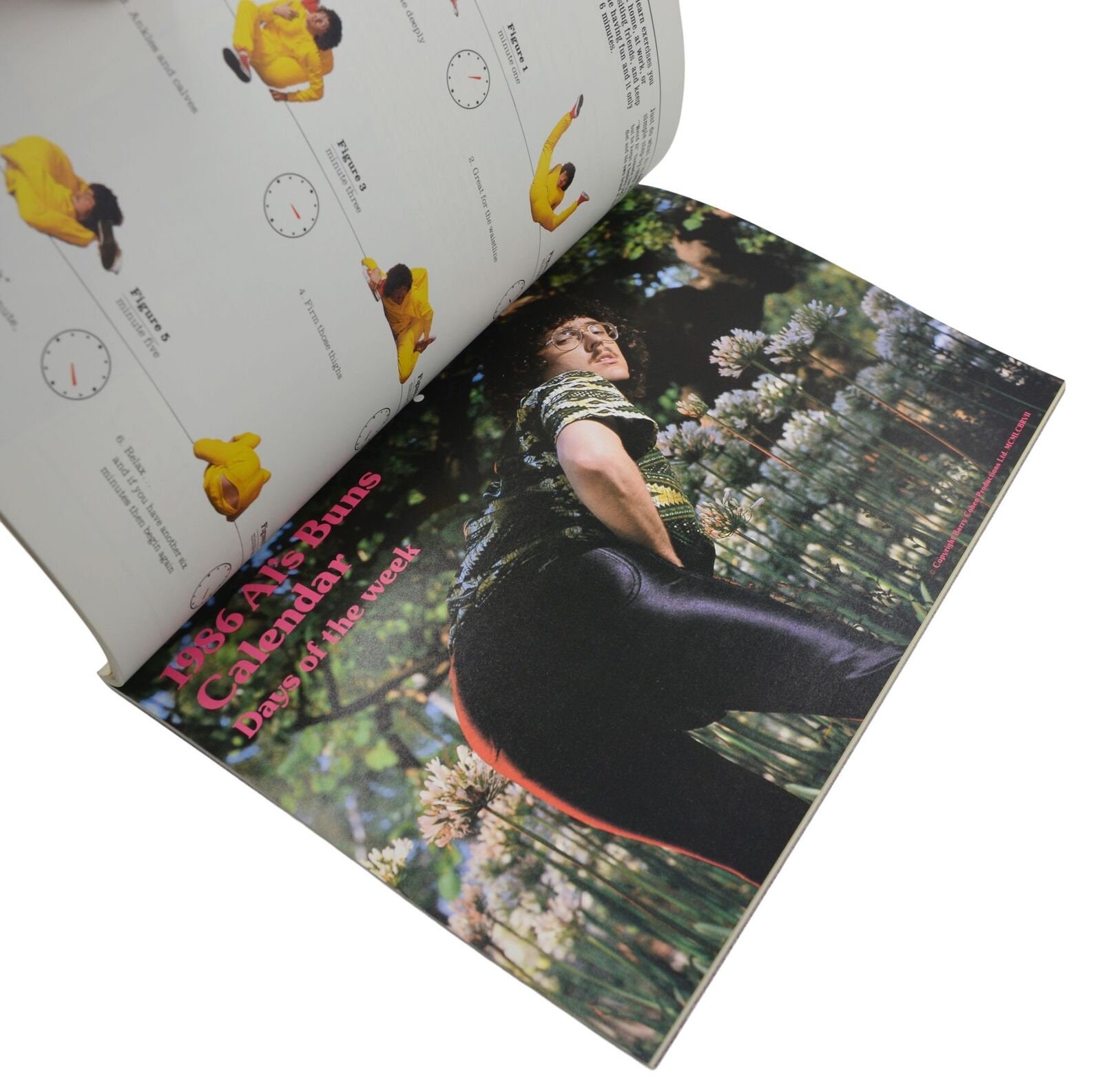 The Authorized Al ~ Signed by WEIRD AL YANKOVIC ~ First Edition