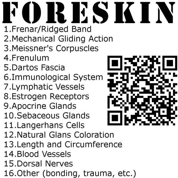 Foreskin Anatomy Stickers