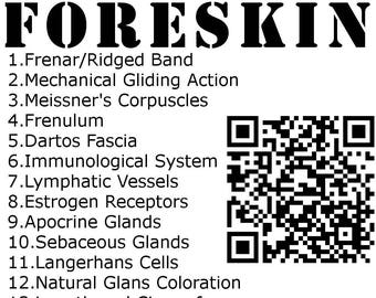 Foreskin Anatomy Stickers