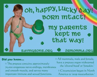 Lucky Baby St. Patricks Intact Info Cards