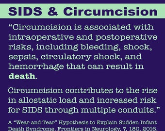 SIDS & Circumcision Intact Info Stickers