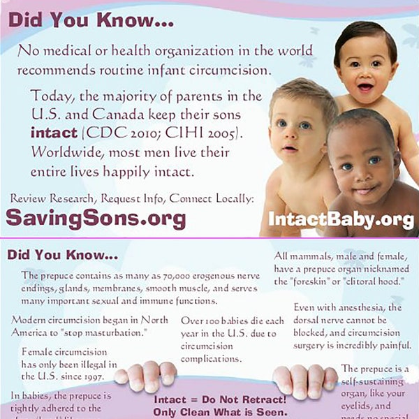 Did You Know... Intact Info Cards