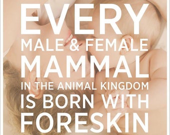 Every Mammal is Born with Foreskin