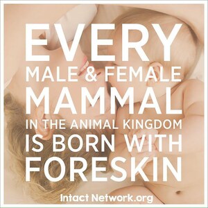 Every Mammal is Born with Foreskin