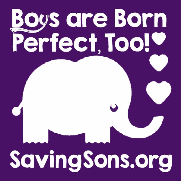 Boys are Born Perfect, Too! Intact Info Stickers