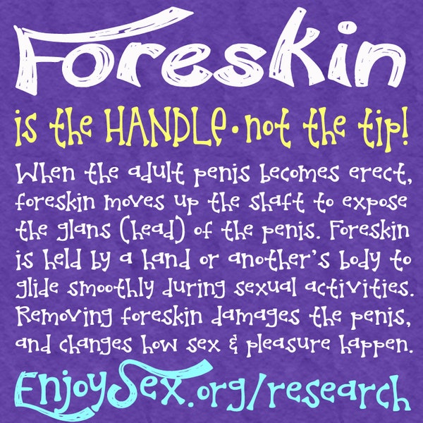 Foreskin is the Handle, Not the Tip Intact Vinyl Stickers