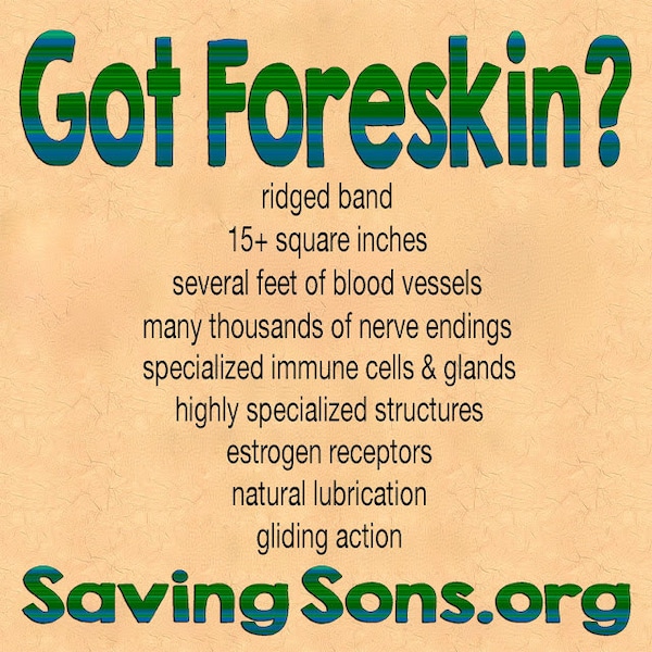 Got Foreskin? Stickers