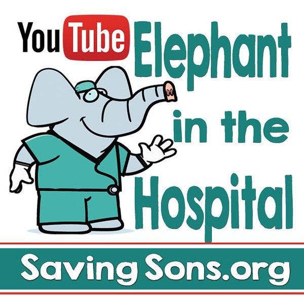 Elephant in the Hospital (Intact Info) Stickers