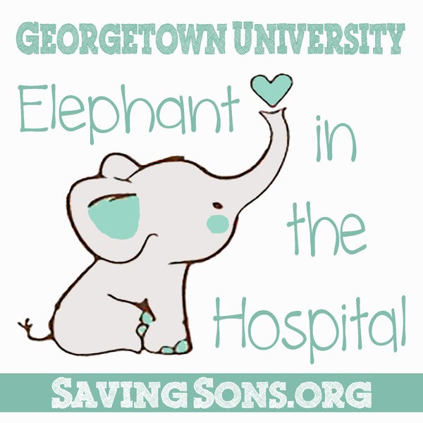Elephant in the Hospital (Georgetown University) Stickers