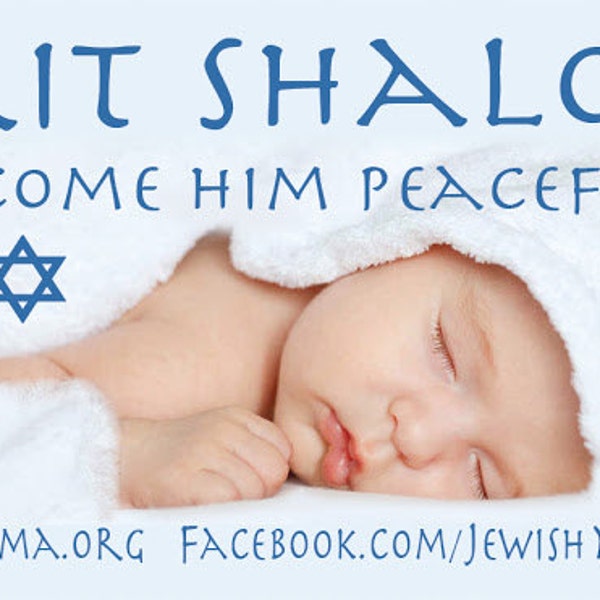 Brit Shalom Judaism Info Cards