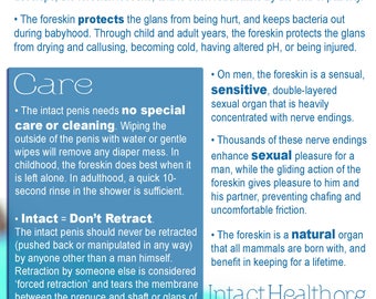 Foreskin Facts Oversized Intact Info Postcards