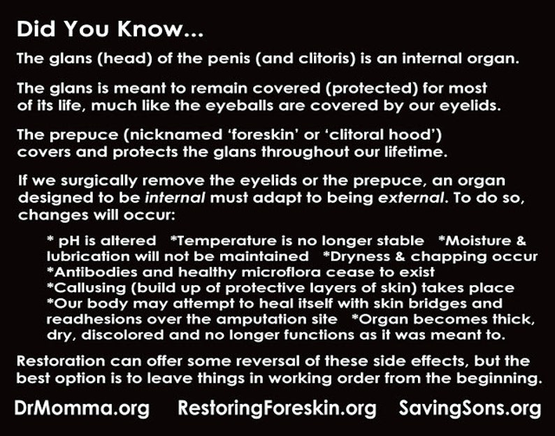 Intact vs Circumcised Adult Info Postcards