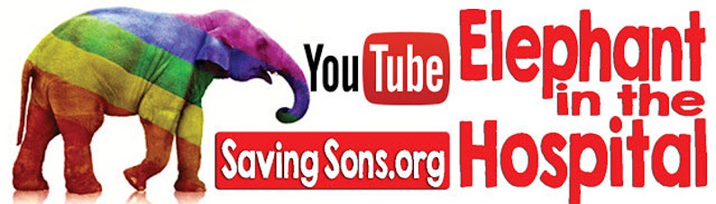 Elephant in the Hospital Rainbow Bumper Sticker
