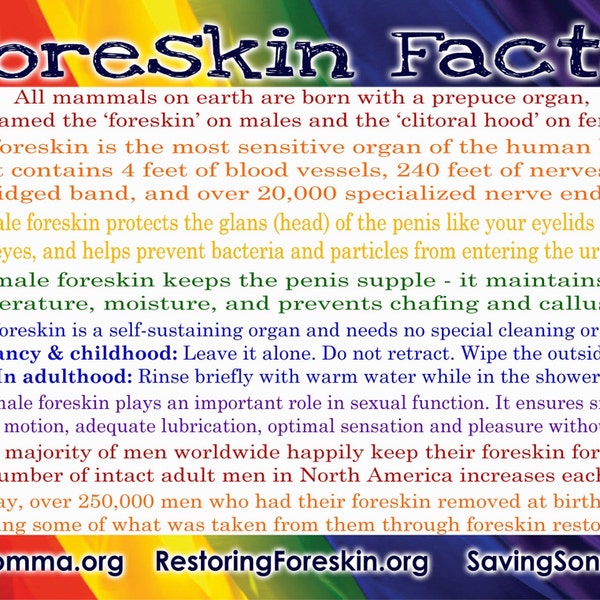 Foreskin Facts / Circumcision Stats Postcards