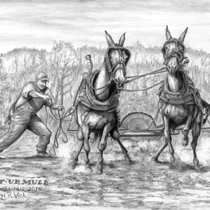 May include: Pencil drawing of a man pulling a cart with two mules. The mules are harnessed and pulling a cart with a large saw blade. The text "GIT-UP MULE Proverbs 14:2, 2016 JOSEPH R. VICK" is at the bottom.