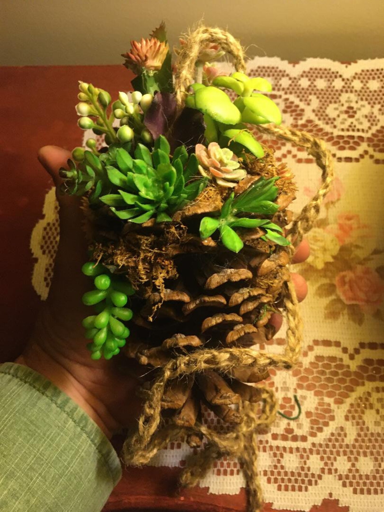Single lg pinecone succulent hanging planter country farm