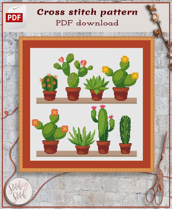 Succulent Plant Chart