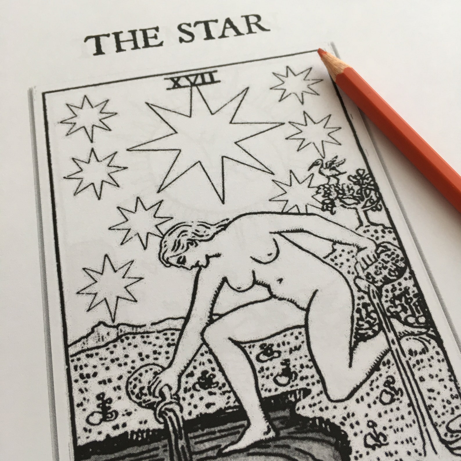 Download Tarot Coloring Book Printable Tarot Coloring Book with | Etsy