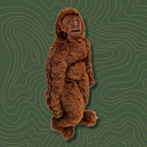 May include: A brown plush toy shaped like a Bigfoot with a furry texture. The toy has a human-like face with a wide mouth and large eyes.