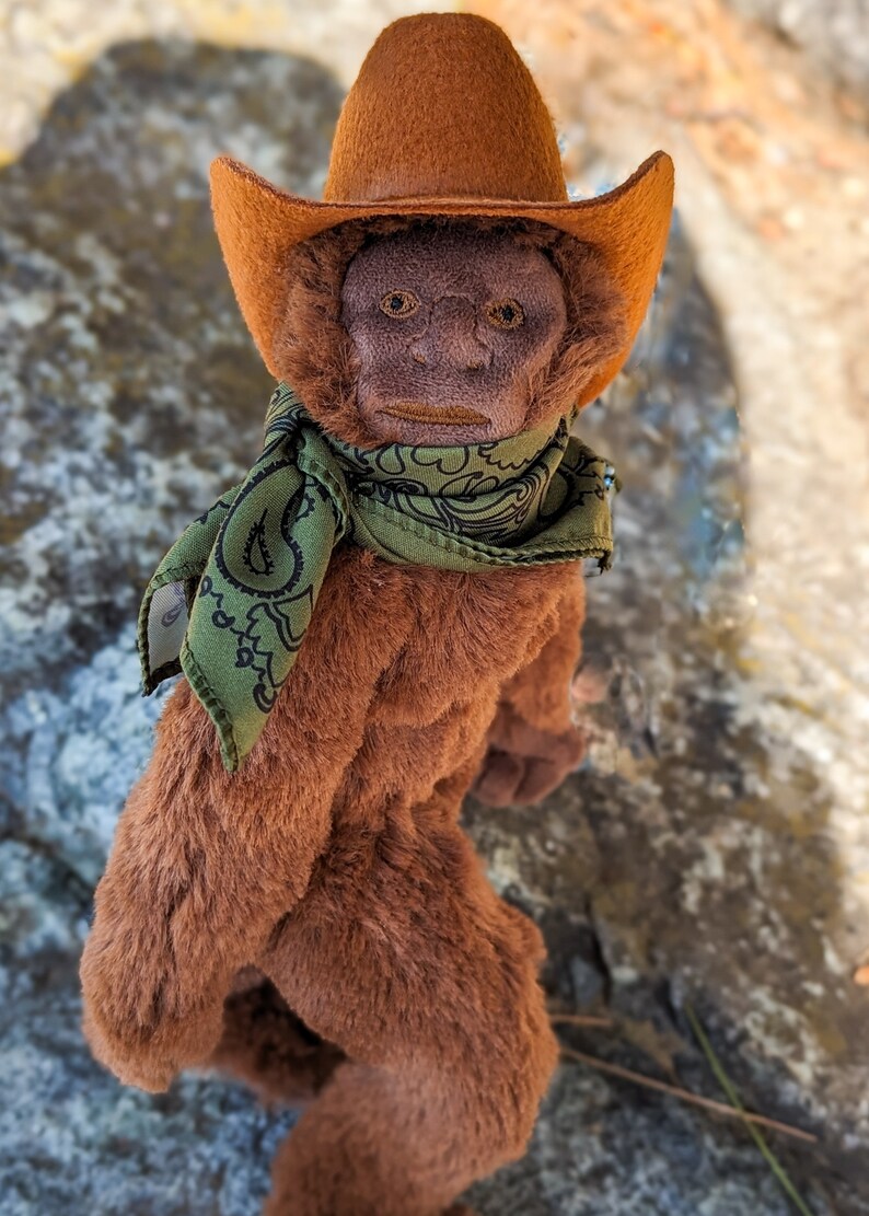May include: A brown plush monkey wearing a brown cowboy hat and a green paisley bandana.