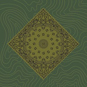 May include: A green bandana with a black paisley pattern. The bandana is folded into a diamond shape and has a central design with a floral motif.