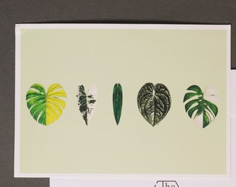 Artistic designed Aroid Rare Plants Greeting Card with Envelope Monstera Cards for Plant Lovers