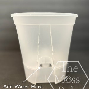 May include: A translucent plastic plant pot with a wide rim and a rectangular base. The text "Add Water Here" is next to a small opening on the side. The Moss Pole logo is visible on the right side of the pot.