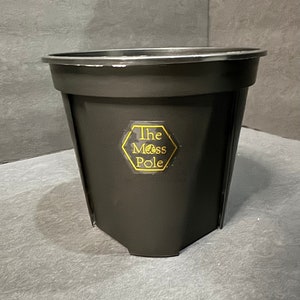 Premium 5-Inch Black Pot | Black Planter with optimal airflow and great drainage