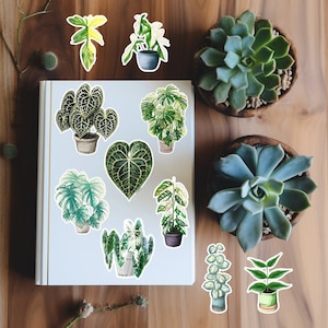 Plant Stickers Monstera Stickers Anthurium Stickers Alocasia Stickers Water Resistant Durable Vinyl Glossy Plant Stickers - Plant Lover Gift
