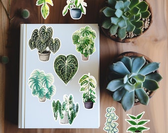 Plant Stickers Monstera Stickers Anthurium Stickers Alocasia Stickers Water Resistant Durable Vinyl Glossy Plant Stickers - Plant Lover Gift