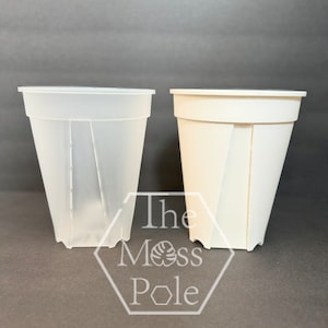 6 in tall clear transparent plant pots with good drainage high quality planter! Tall clear planter, 6 inch white clear planters