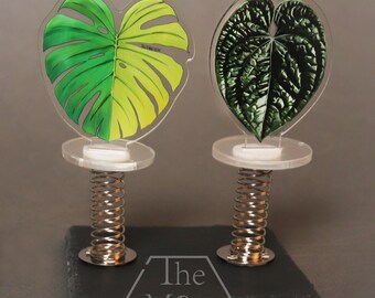 Elegant Anthurium Car Decor Set - Modern Plant Lover Gift for Dashboard or Rearview Mirror Ornament Variegated Monstera Aurea Car Decoration