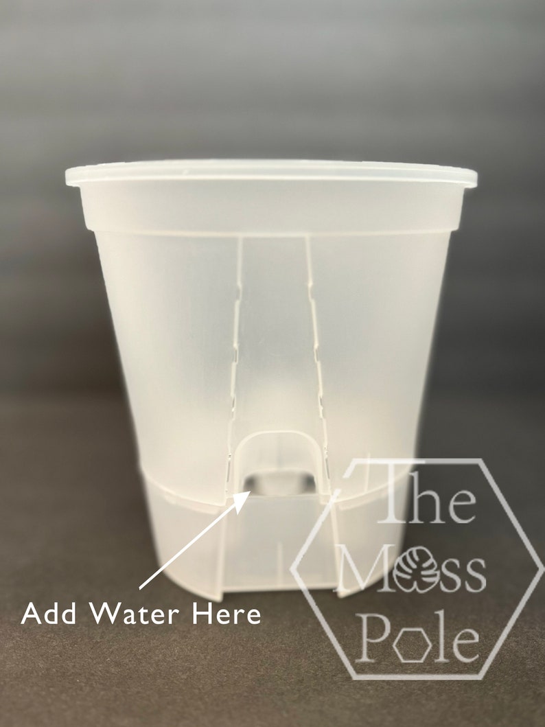 May include: A translucent plastic plant pot with a wide rim and a rectangular base. The text "Add Water Here" is next to a small opening on the side. The Moss Pole logo is visible on the right side of the pot.