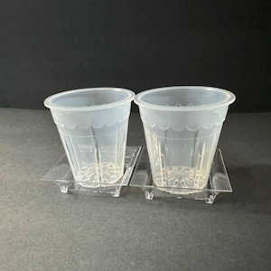 May include: Two clear plastic plant pots with drainage holes and square plastic trays. The pots are approximately 3 inches in diameter.